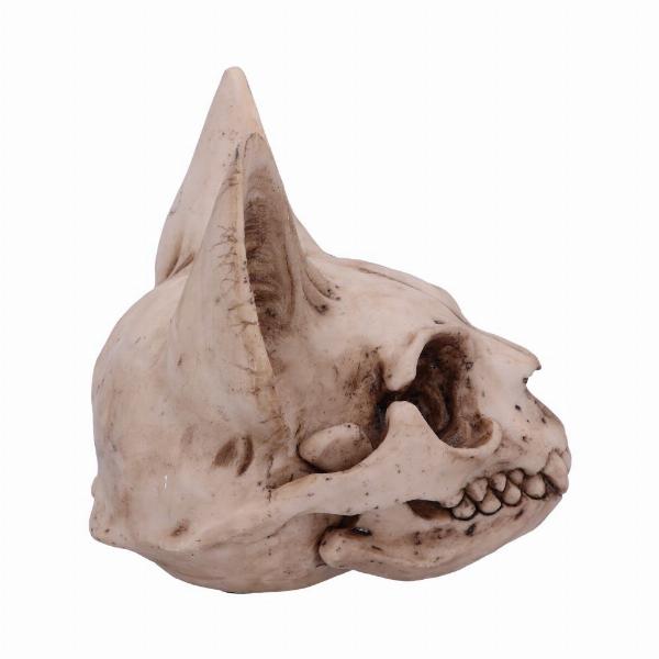 Photo #4 of product D4916R0 - Bastet's Secret Cat Skull Figurine Ornament
