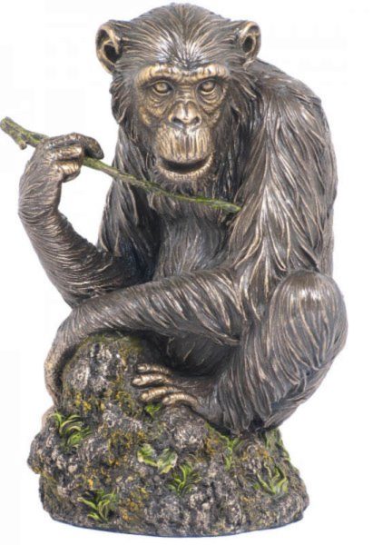Photo of Chimpanzee Bronze Statue