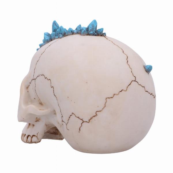 Photo #4 of product U5687U1 - Blue Crystal Cave Skull 16.5cm