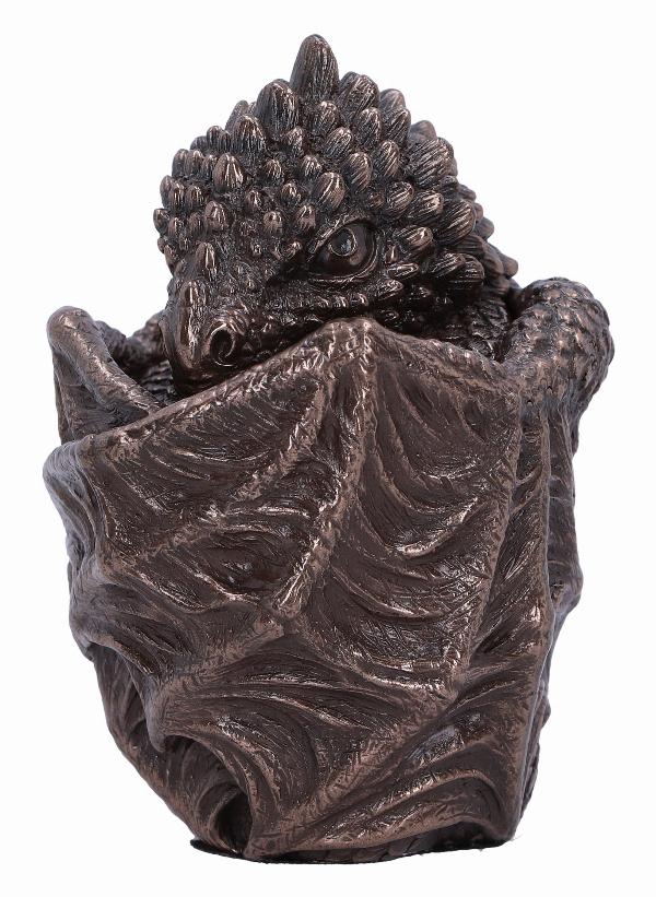 Photo #2 of product D6576Y3 - Bronze Dragon Snuggle Box