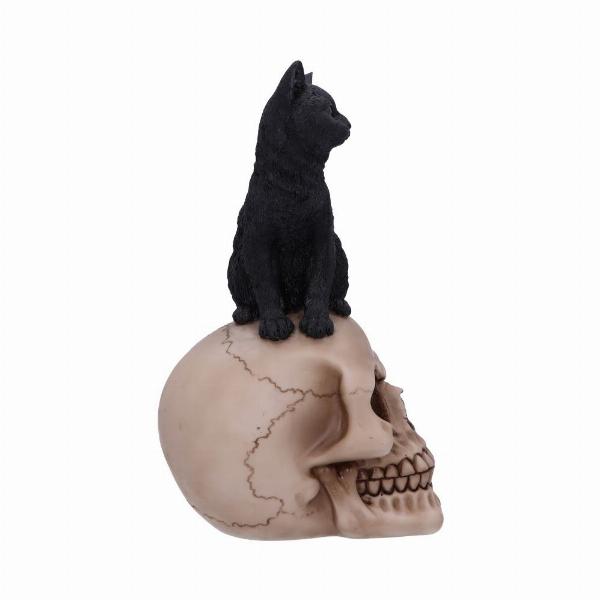 Photo #4 of product U5453T1 - Familiar Fate 24.3cm Black Witches Cat and Skull Figurine