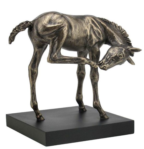 Photo of Foal Bronze Figurine with Base