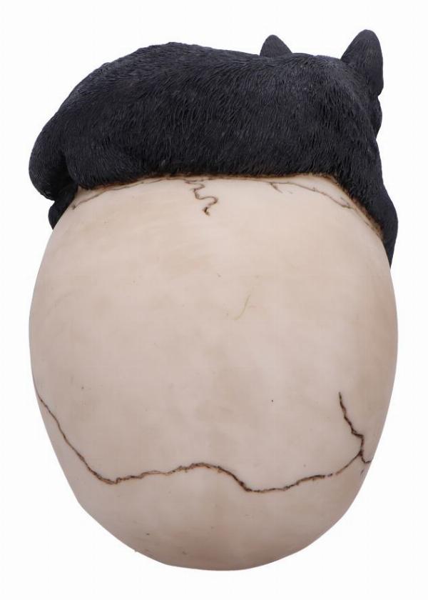 Photo #4 of product U6725A24 - Forever Friend Black Cat Skull Head 14.5cm