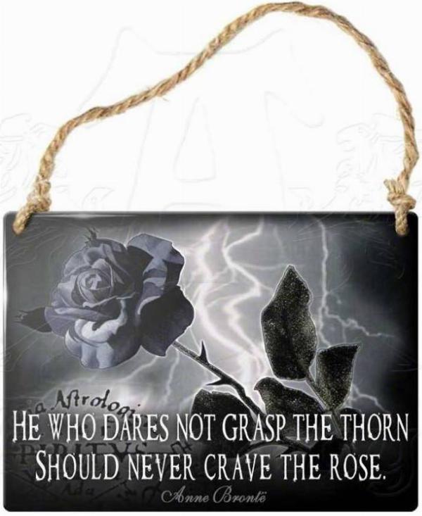 Photo of He Who Dares Not Grasp The Thorn Should Never Crave The Rose Small Steel Plaque