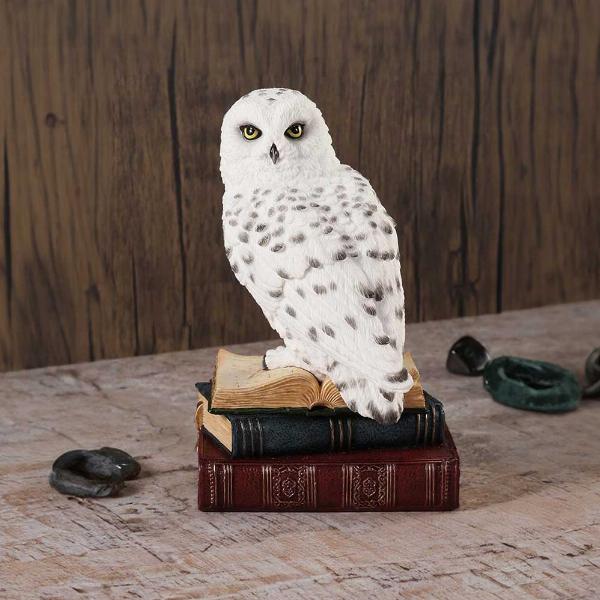 Photo #5 of product D6818B24 - Library of Wisdom White Owl Figurine