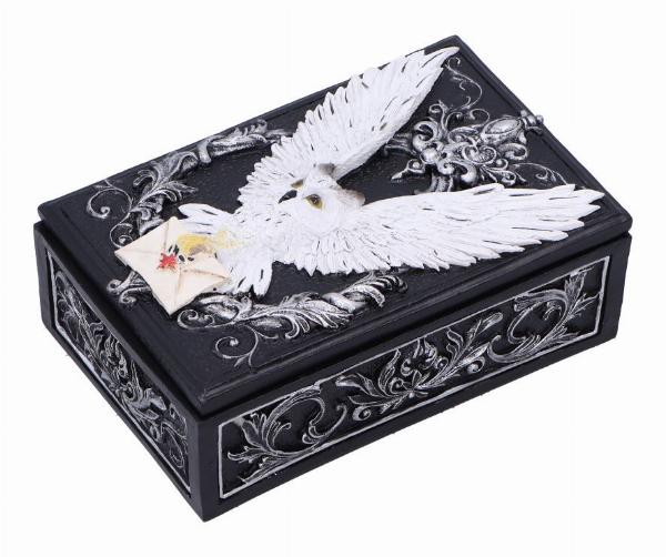 Photo #4 of product U7005A25 - Owl Messenger Box