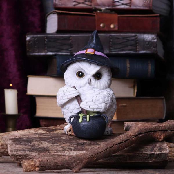 Photo #5 of product U5725U1 - Owl Potion Figurine 17.5cm