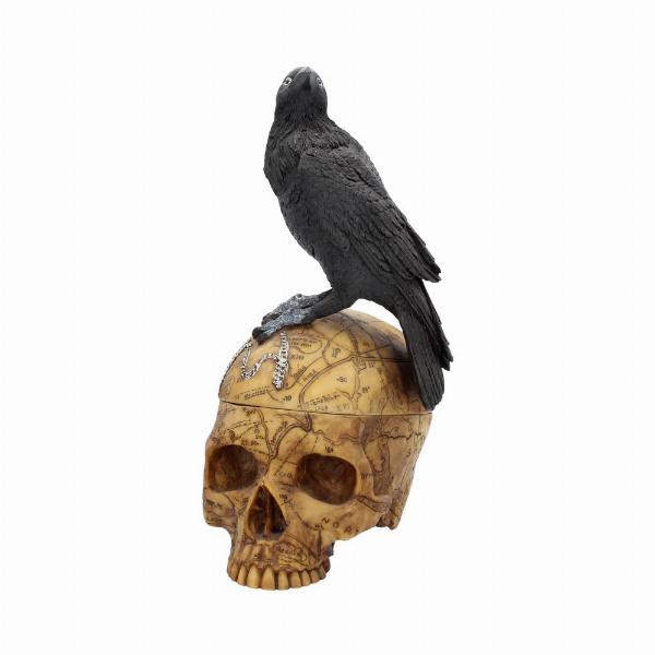 Photo #2 of product NOW6861 - Salems Familiar Box Gothic Raven Skull Witch Pentagram Trinket Box