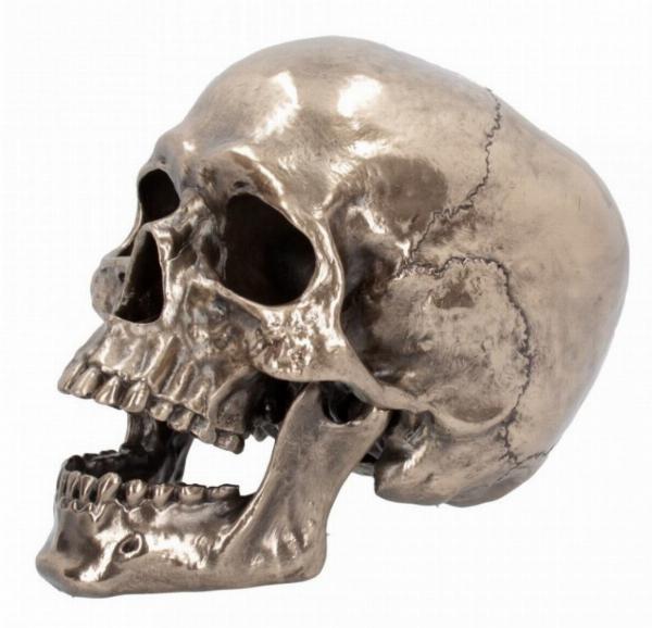 Photo of Skull with Movable Jaw Bronze Heavyweight Ornament