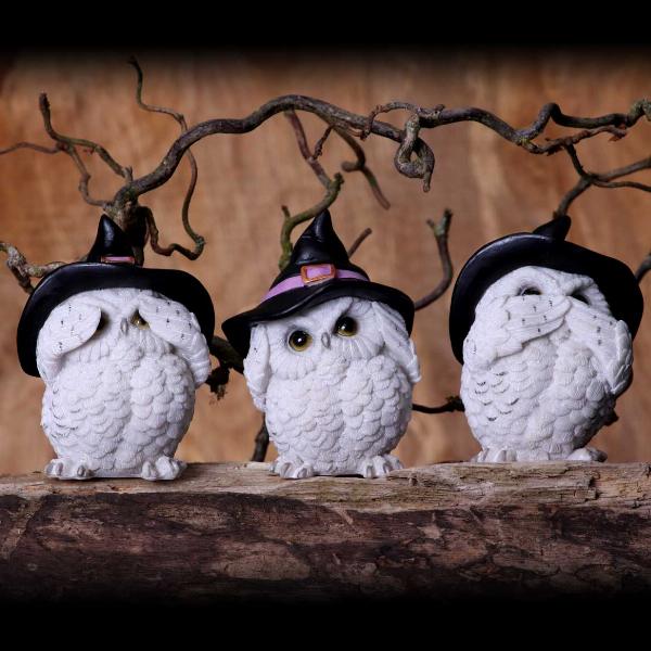 Photo #5 of product U5736U1 - Three Wise Feathered Familiars 9cm