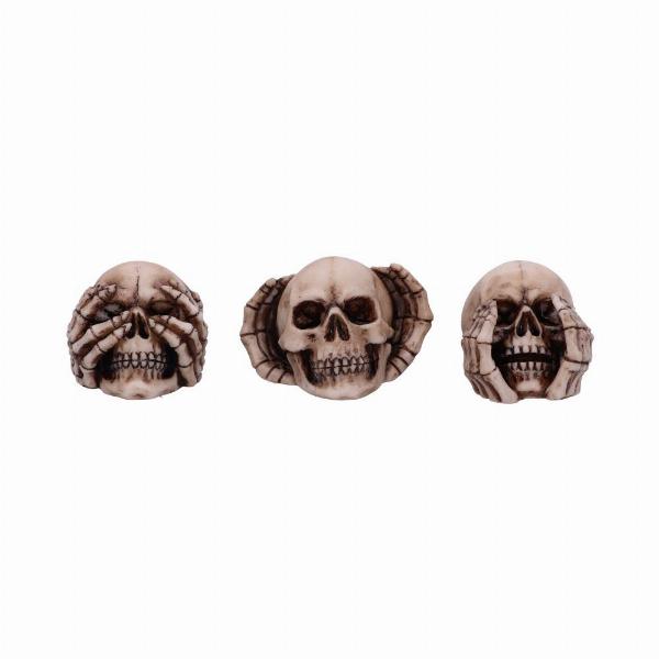 Photo #4 of product D5732U1 - Three Wise Skulls 7.6cm