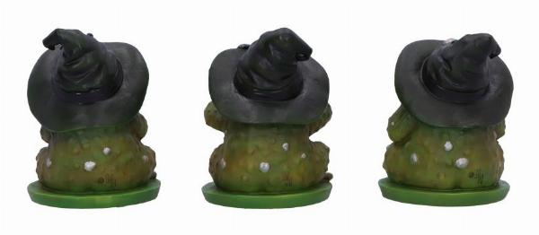 Photo #3 of product B6904C24 - Three Wise Wizard Toad Figurines