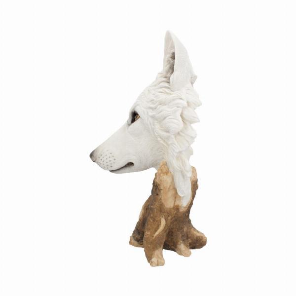 Photo #2 of product U4538N9 - Wild Winter White Wolf Bust 27.5cm
