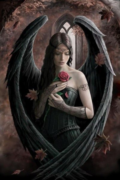Photo of Angel Rose Figurine (Anne Stokes)