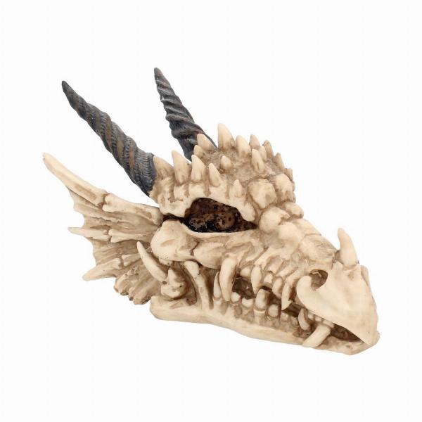 Photo #1 of product AL50057 - Fantasy Gothic Dragon Skull Trinket Box