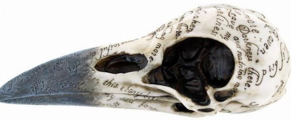 Photo of Edgars Raven Skull Ornament 20cm