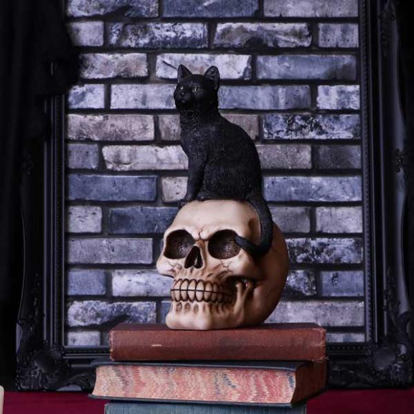 Photo #5 of product U5453T1 - Familiar Fate 24.3cm Black Witches Cat and Skull Figurine