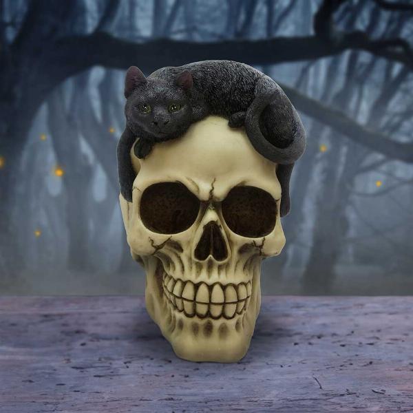 Photo #5 of product U6725A24 - Forever Friend Black Cat Skull Head 14.5cm