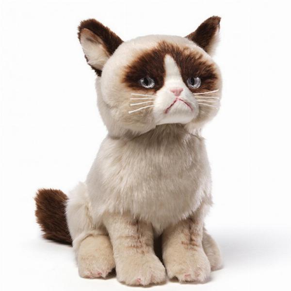 Photo of Grumpy Cat Soft Toy