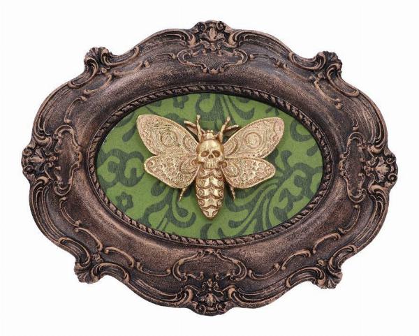 Photo #1 of product D5067R0 - Moth Macabre Baroque Framed Death's Head Moth Wall Plaque