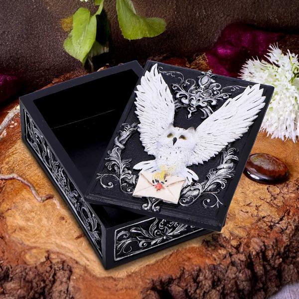 Photo #5 of product U7005A25 - Owl Messenger Box