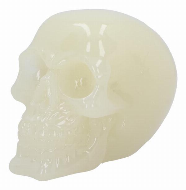 Photo #4 of product U6874C24 - Phosphorescent Glow in the Dark Skull