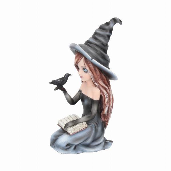 Photo #2 of product D2449G6 - Regan Witch & Her Raven Figurine 15cm