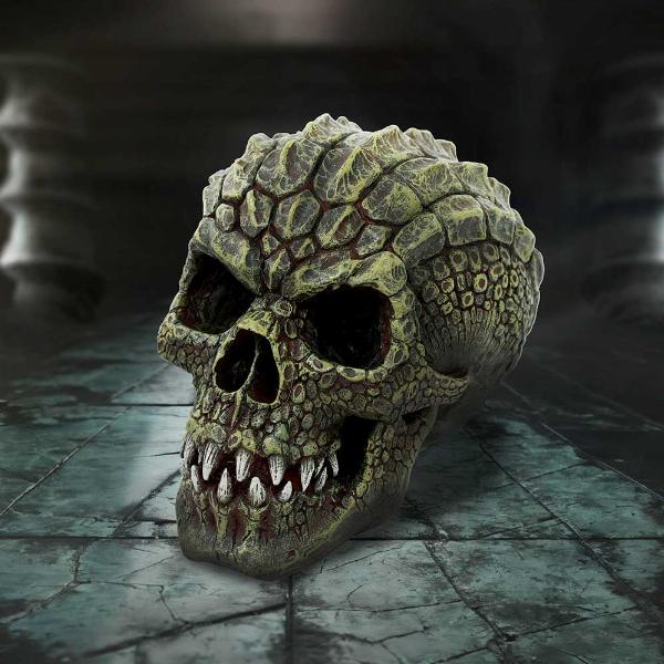 Photo #5 of product D6775A24 - Reptillian Scale Skull 17cm