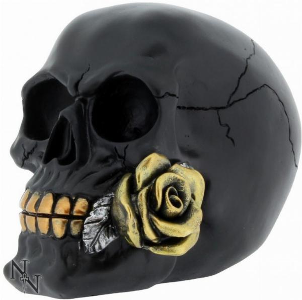 Photo of Romantic Skull Black
