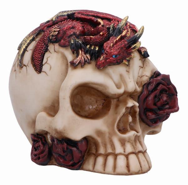 Photo #1 of product U7070B25 - Rose Flame 14.5cm