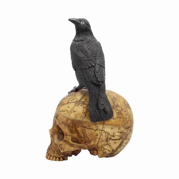 Photo #3 of product NOW6861 - Salems Familiar Box Gothic Raven Skull Witch Pentagram Trinket Box
