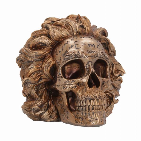 Photo #5 of product B6163W2 - The Theory of Relativity Bronze Einstein Skull 21cm