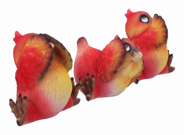 Photo #4 of product U6859C24 - Comical Three Wise Bird Figurines