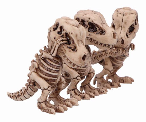 Photo #4 of product B6974A25 - Three Wise Tyrannosaurus Rex Skeletons