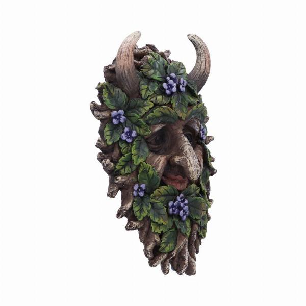 Photo #4 of product D5934V2 - Alder Wall Mounted Tree Spirit 20.2cm