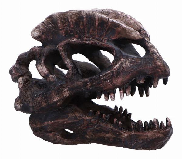 Photo #3 of product D7103B25 - Dilophosaurus Skull Resin Replica