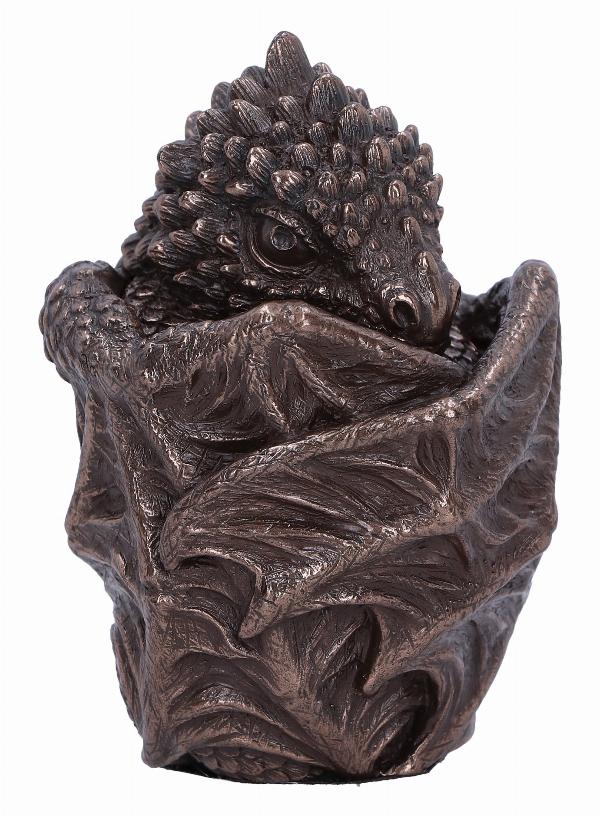 Photo #4 of product D6576Y3 - Bronze Dragon Snuggle Box