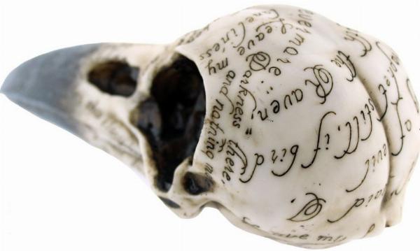 Photo of Edgars Raven Skull Ornament 20cm