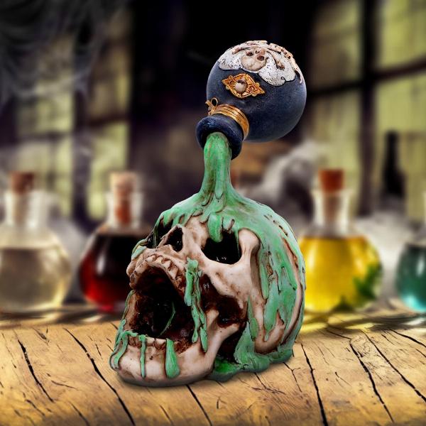 Photo #5 of product U6865C24 - Fatal Elixer Skull Ornament