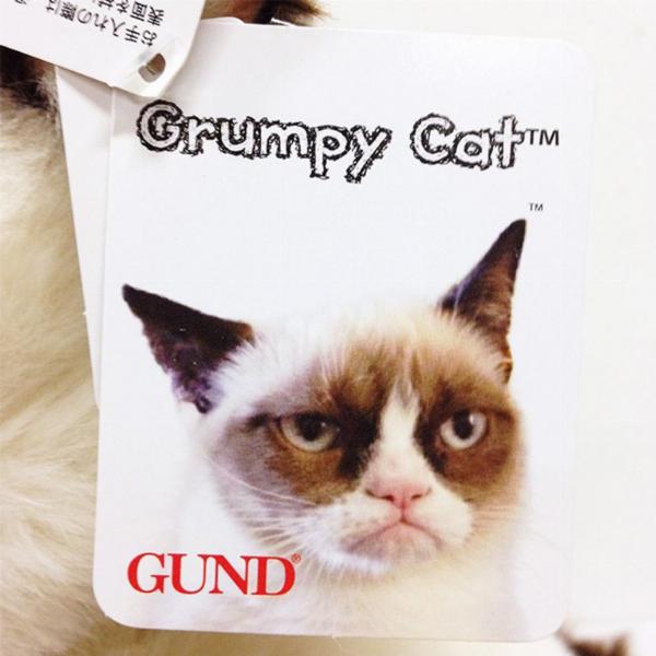 Photo of Grumpy Cat Soft Toy