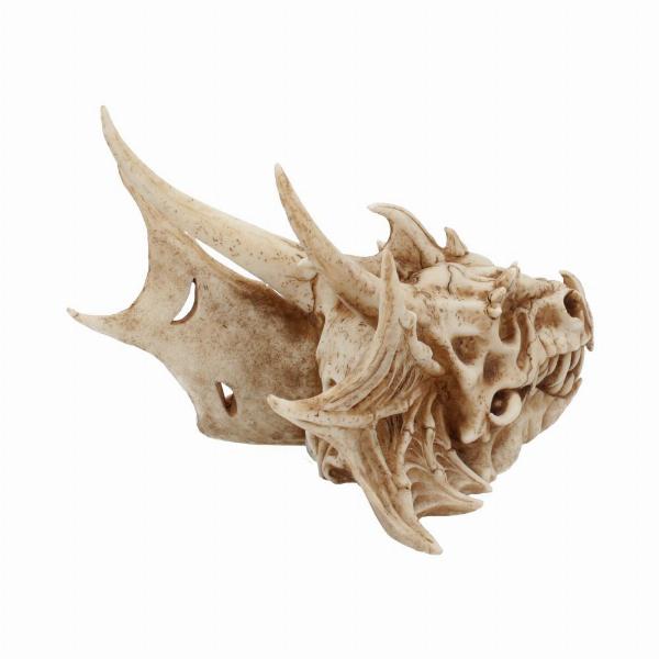 Photo #4 of product U4505N9 - Lumo Luminescent Light Up Dragon Skull