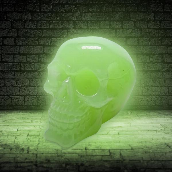 Photo #5 of product U6874C24 - Phosphorescent Glow in the Dark Skull