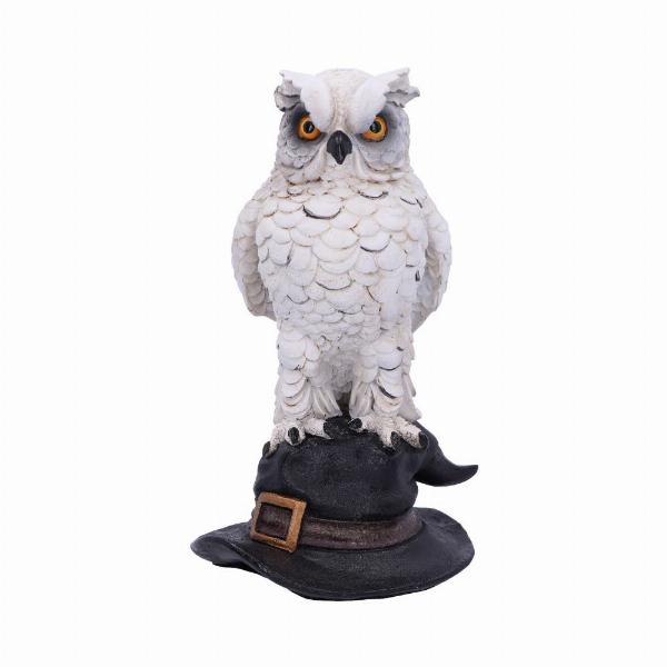 Photo #5 of product D4966R0 - Soren White Horned Owl Perched on a Witches Hat Figurine