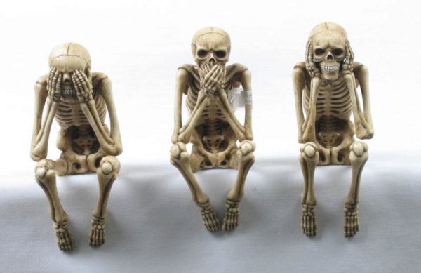 Photo of Three Wise Skeletons