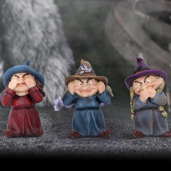 Photo #5 of product D5953V2 - Three Wise Witches Figurine 9.3cm