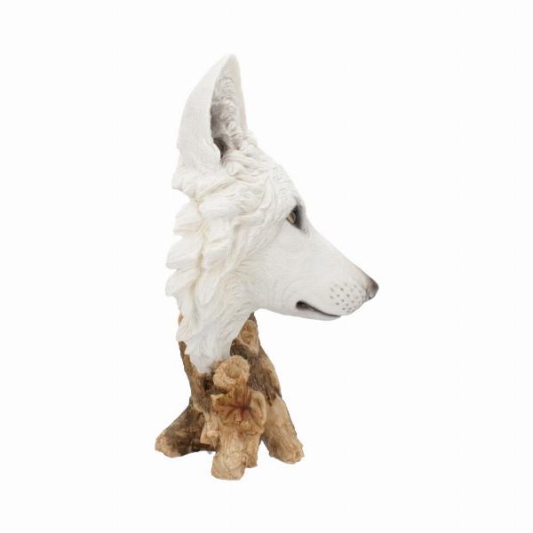 Photo #4 of product U4538N9 - Wild Winter White Wolf Bust 27.5cm