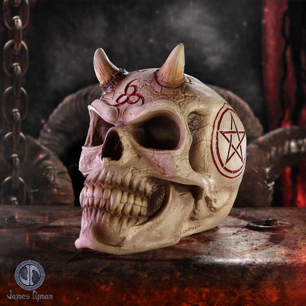 Photo #5 of product B6522Y3 - James Ryman 666 Skull
