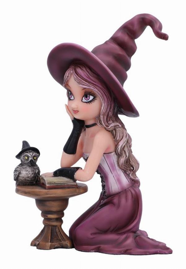 Photo #2 of product D6294X3 - Agatha Witch Figurine 15cm