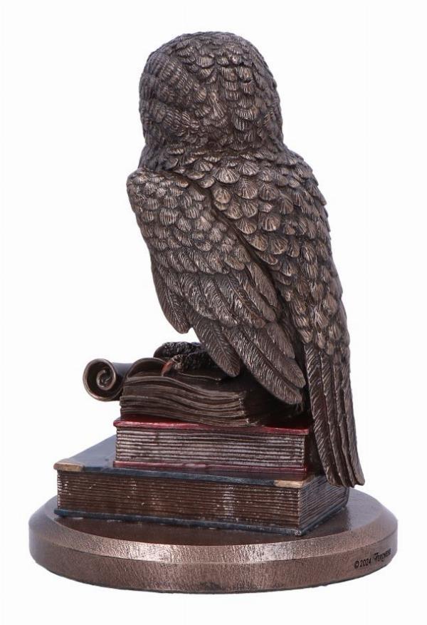 Photo #3 of product D6816B24 - An Owl's Tale Bronze Figurine