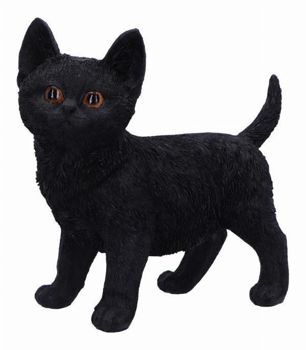 Photo #2 of product U6693A24 - Charmed Companion Black Cat Figurine 20cm